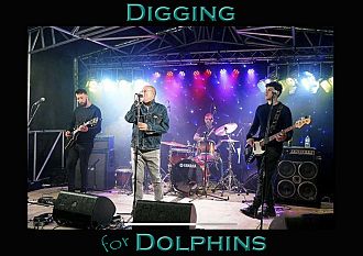 Digging for Dolphins